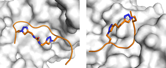 BII_Research-BSMD-FBD-Figure-3