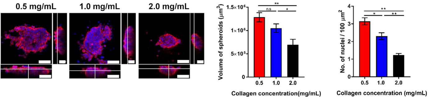 BII_Research-CIID-BM-Figure1