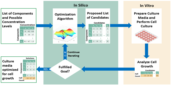 BII_Research-CIID-BM-Figure2