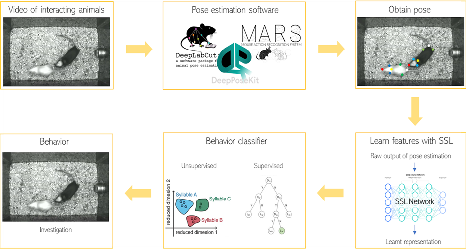 BII_Research-CIID-BM-Figure3
