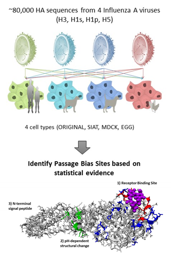 BII - Human Infectious Disease Figure 2
