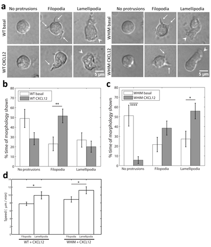 BII_Research-II-BPM-Figure-1 BII - Biophysical Modelling Figure 1