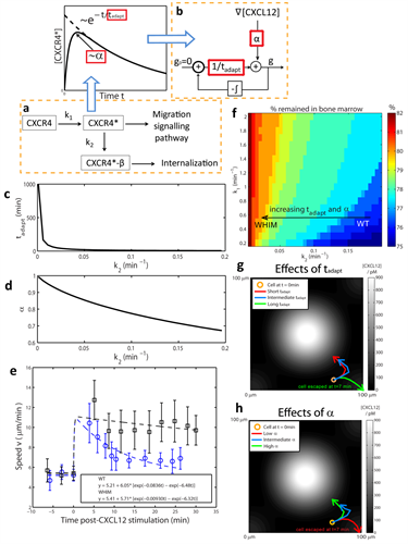 BII_Research-II-BPM-Figure-2 BII - Biophysical Modelling Figure 2