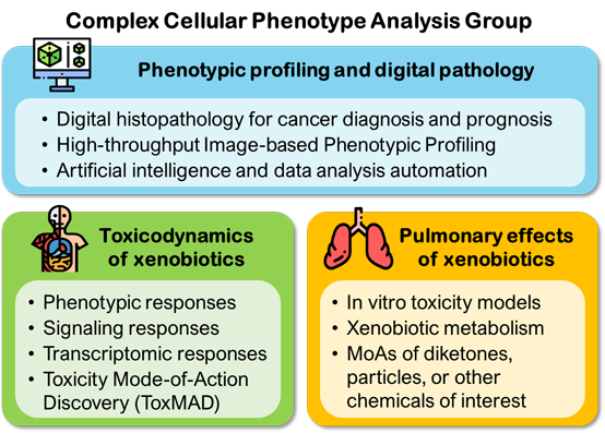 BII_Research-II-CCPA-Figure-1 BII - Complex Cellular Phenotype Analysis Figure 1