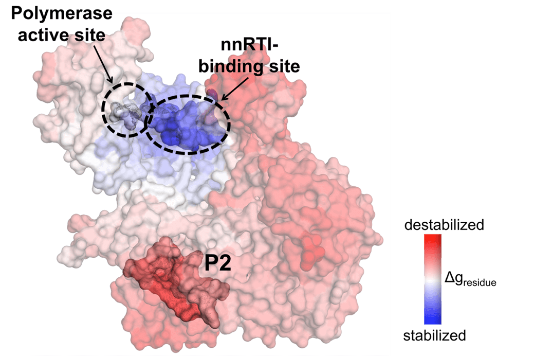 BII_Research-TRD-APD-Figure-5 BII - Antibody and Product Development Figure 5
