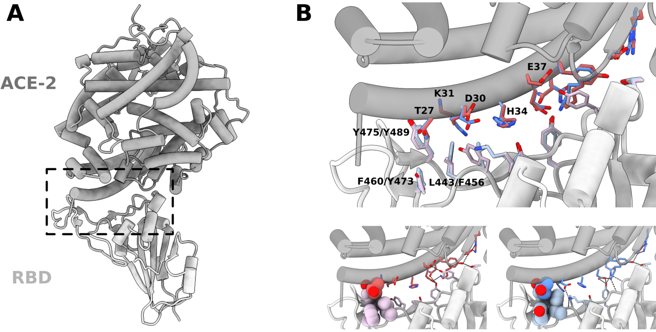 BII_Research_BSFD-FSRNA-Figure2