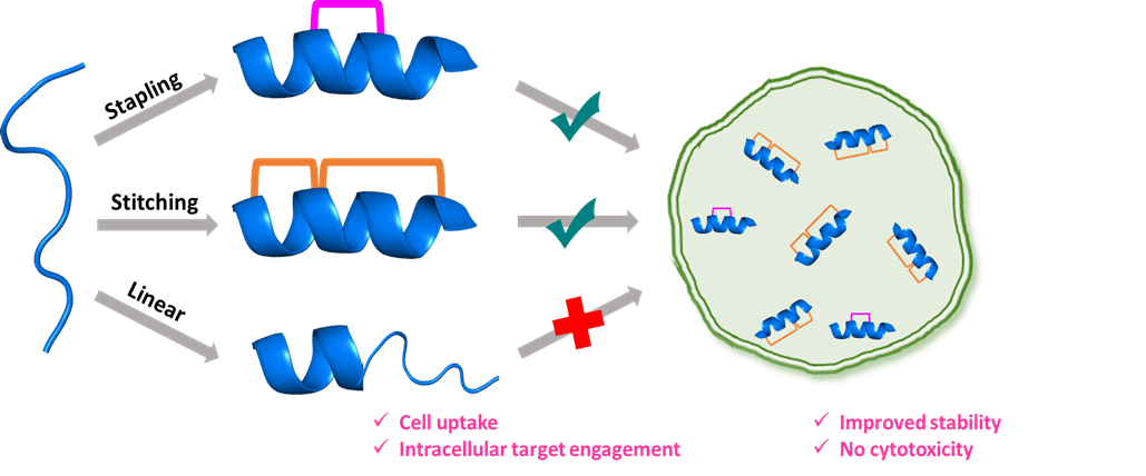 BII_Research_BSMD-ASDB-Figure1