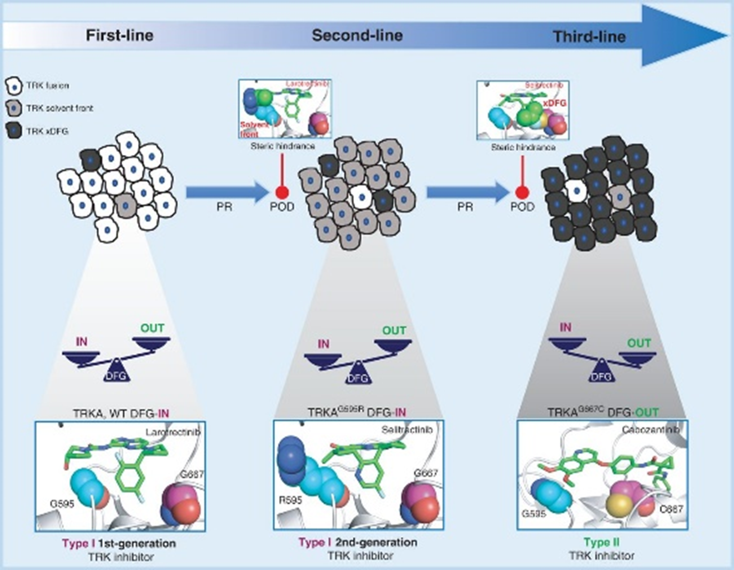 BII_Research_BSMD-ASDB-Figure3