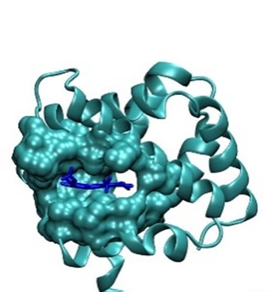 BII_Research_BSMD-ASDB-Figure4