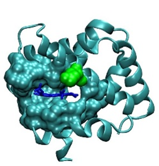 BII_Research_BSMD-ASDB-Figure5