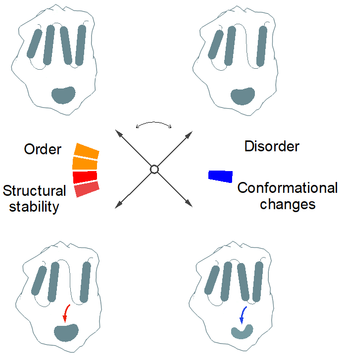 BII_Research_BSMD-PEBM-Figure1