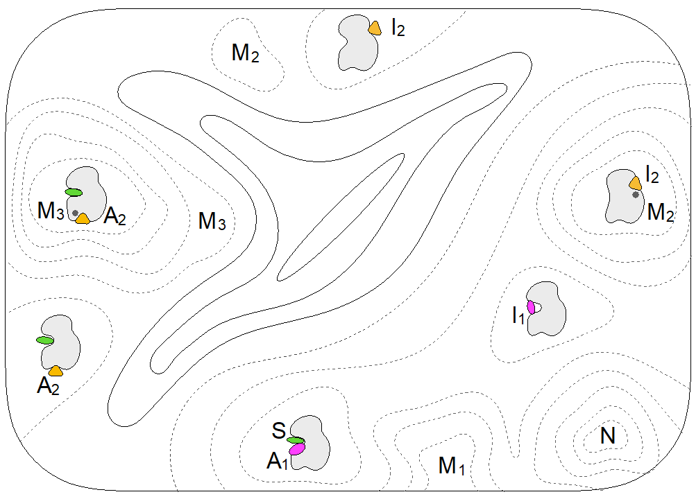 BII_Research_BSMD-PEBM-Figure2