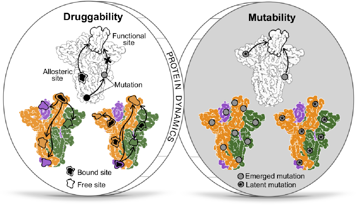 BII_Research_BSMD-PEBM-Figure3
