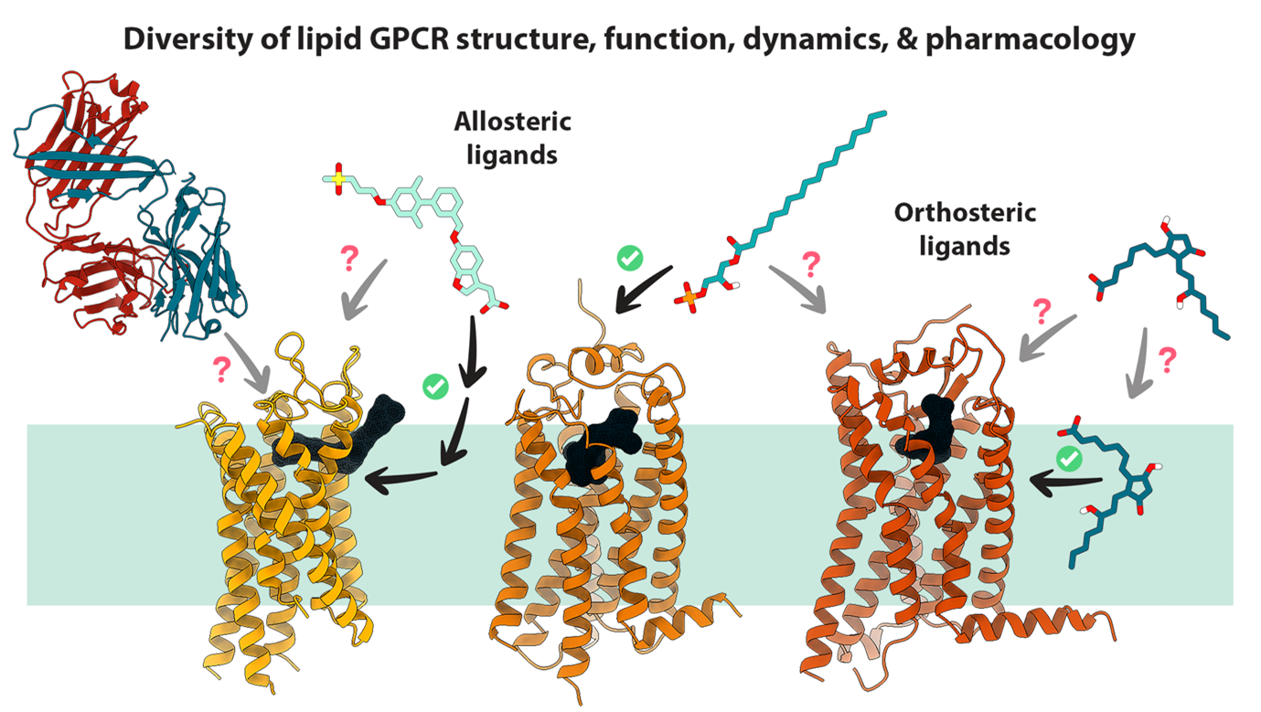 BII_BMAD_SLDD_Figure4