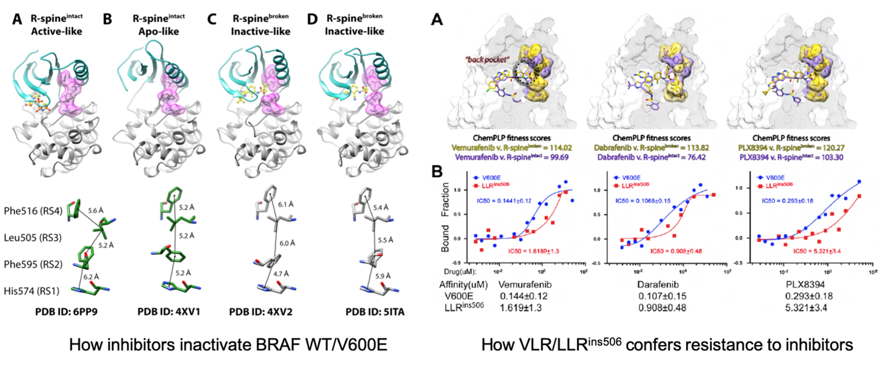 BII_Research_BSMD-SLDD-Figure4