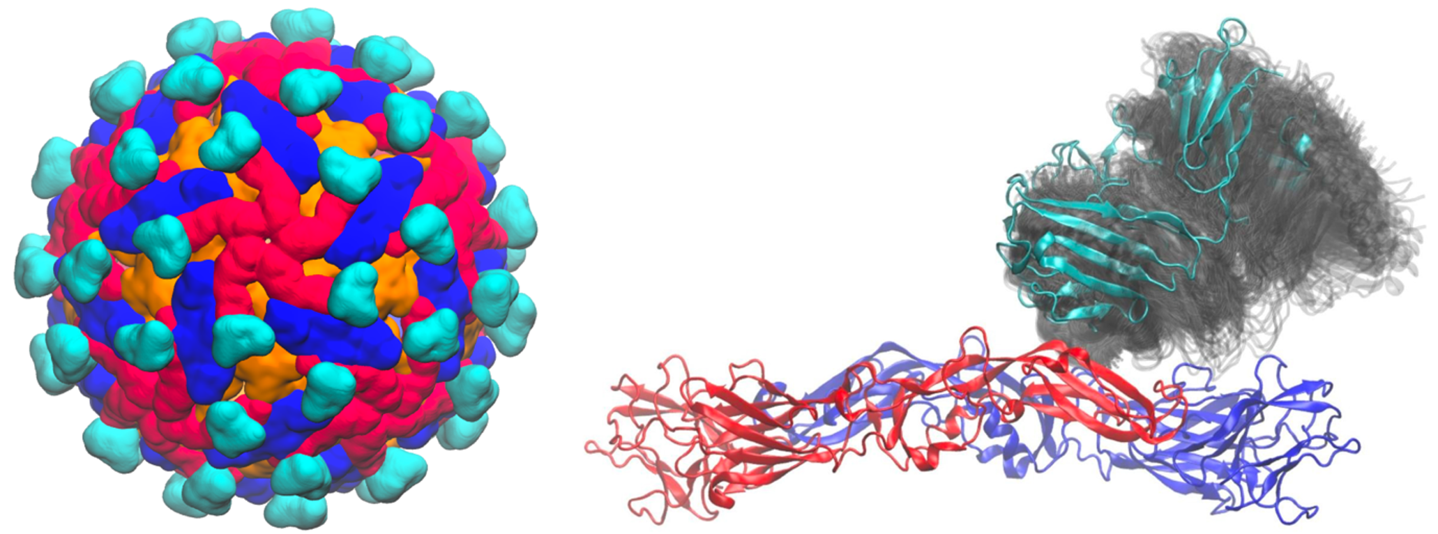 BII_Research_BSMD_MSMD-Figure1