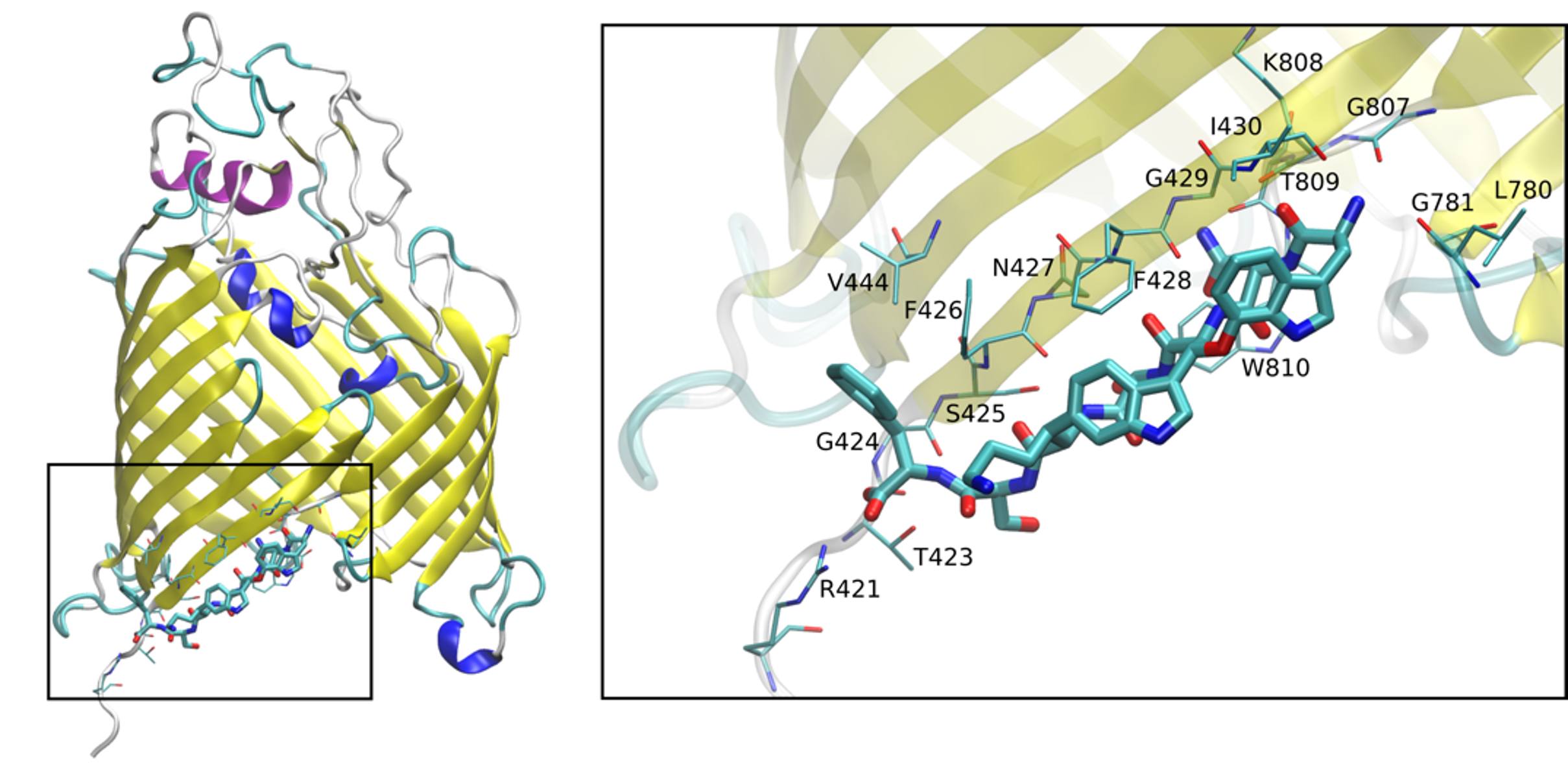 BII_Research_BSMD_MSMD-Figure3