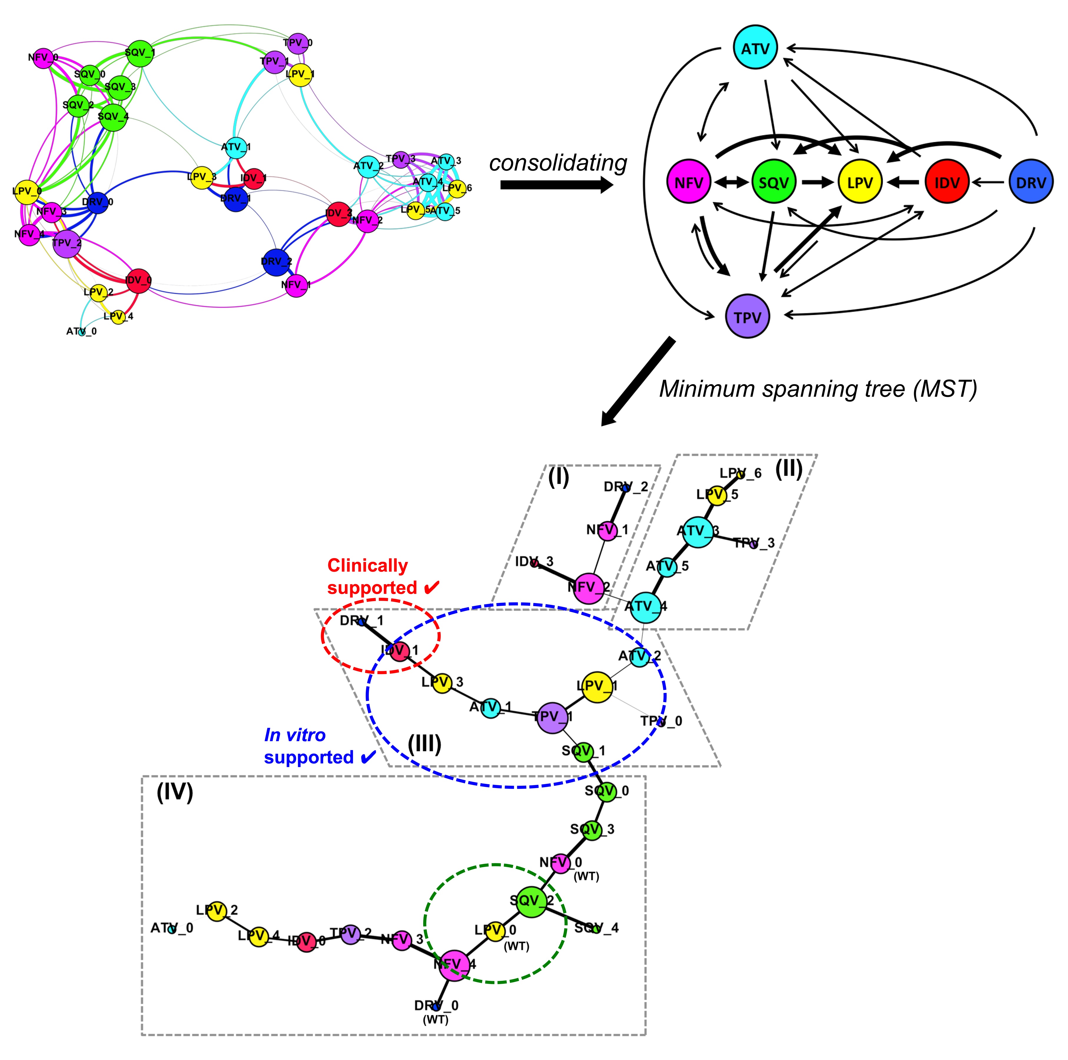 BII_Research-BMAD-AMPM-Figure-1