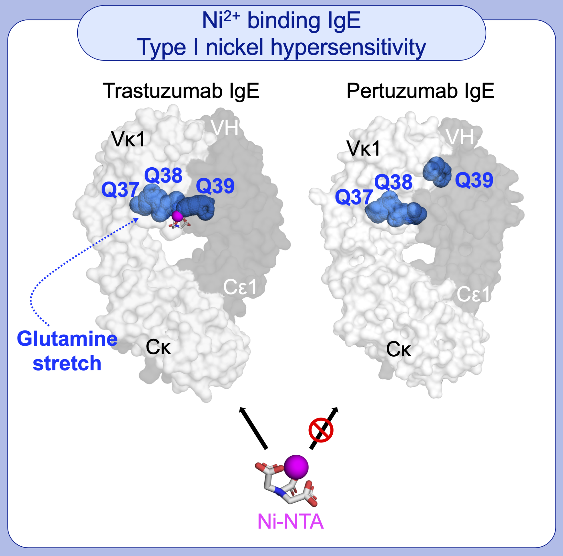 BII_Research-BMAD-AMPM-Figure-3