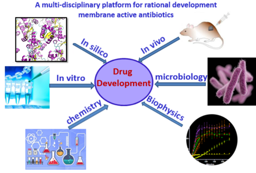 BII_EarlyCareerResearchers-MBDD-figure1