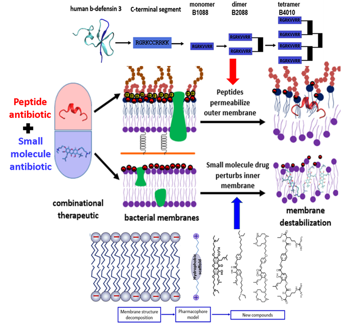 BII_EarlyCareerResearchers-MBDD-figure2