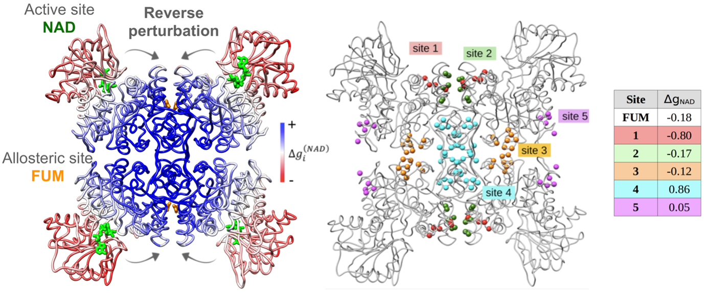 BII_EarlyCareerResearchers_PFMFTI_Figure1