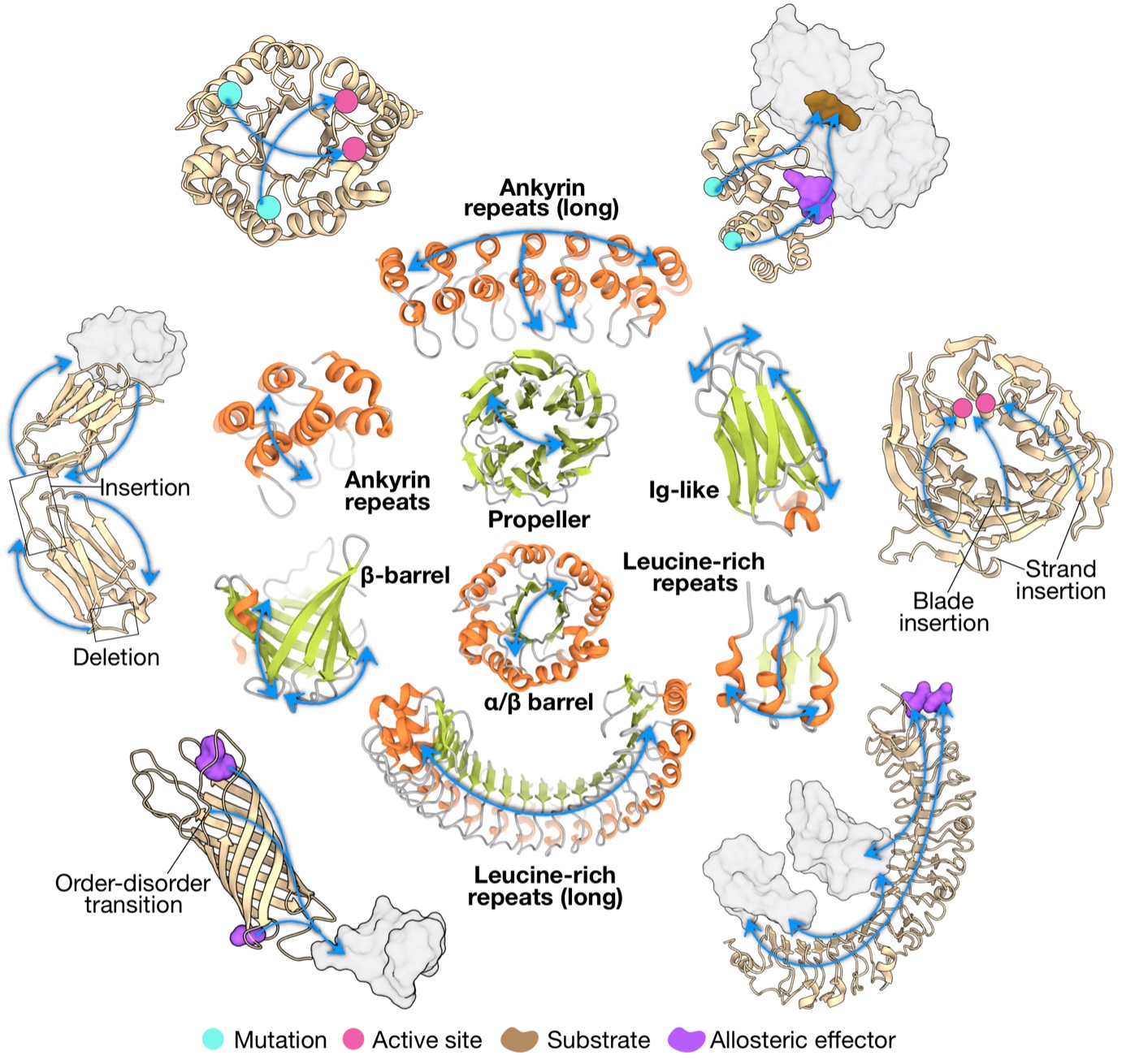 BII_EarlyCareerResearchers_PFMFTI_Figure2