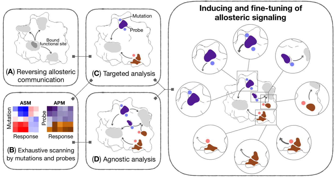 BII_EarlyCareerResearchers_PFMFTI_Figure3