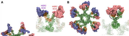 BII_EarlyCareerResearchers-SDMC-Figure-1