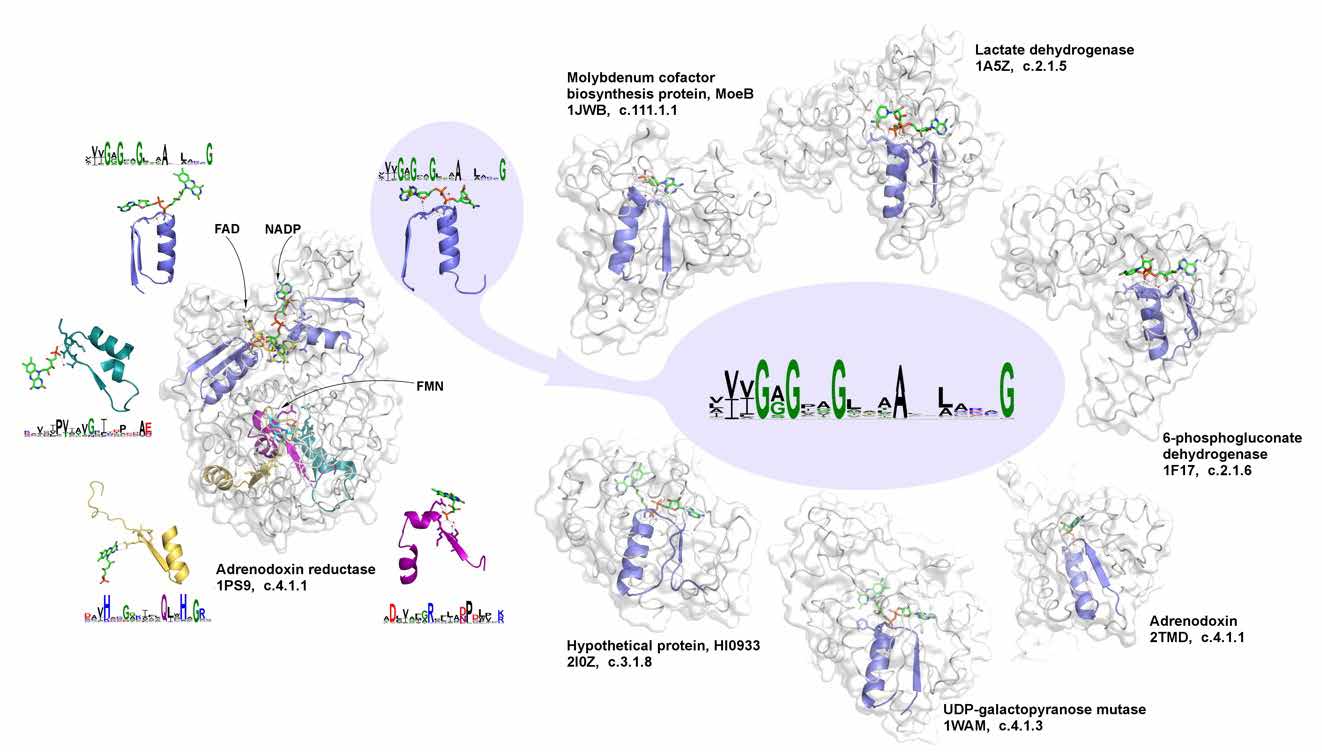 BII_Research-BSMD-PEBM_figure-2 BII_Research-BSMD-PEBM_figure-2