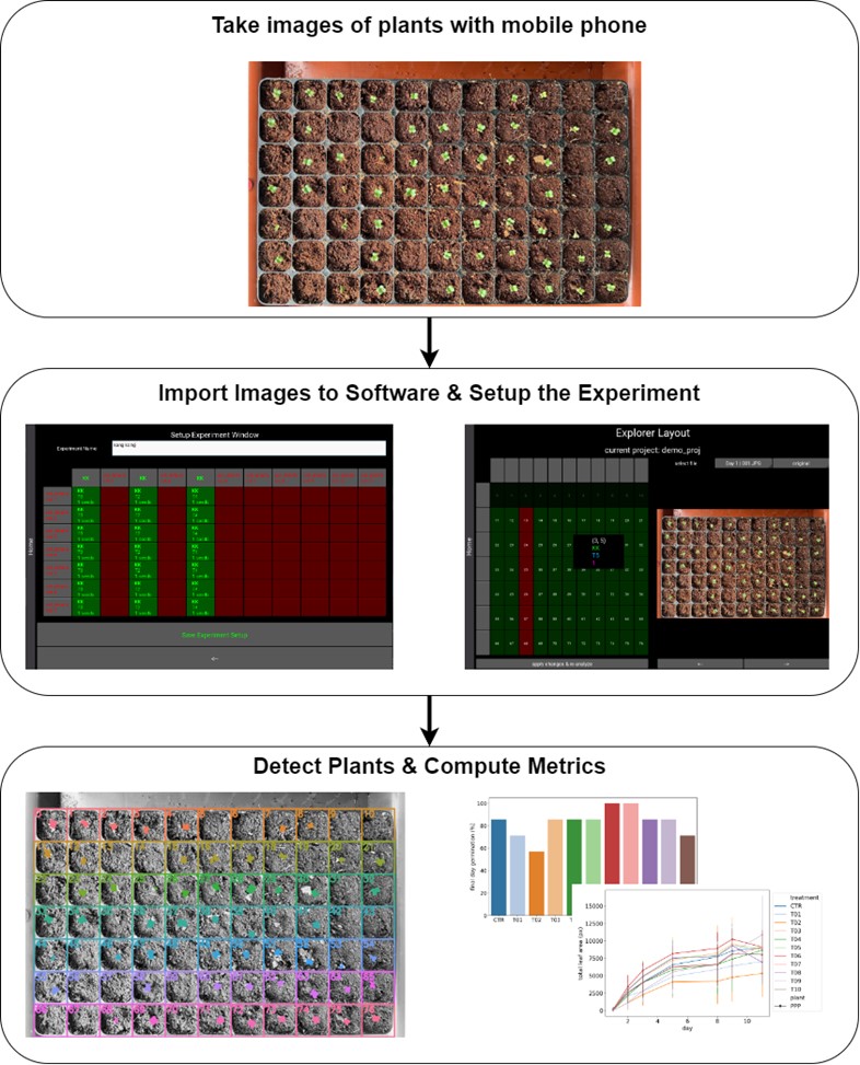 BII_Research-CIID-CVPD_figure-2