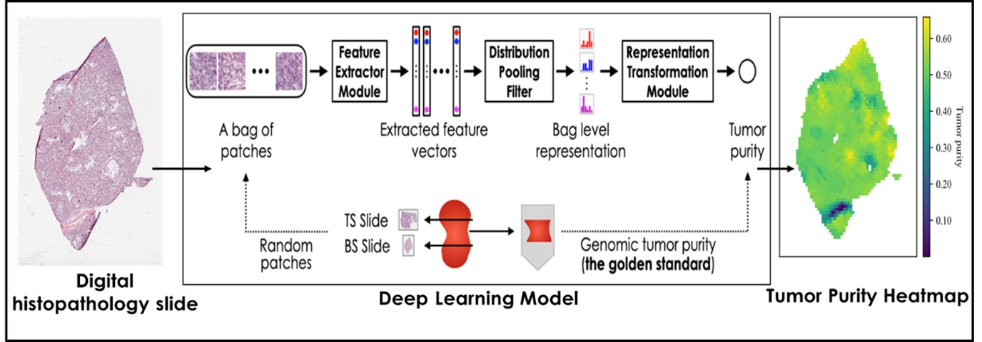 BII_Research-CIID-CVPD_figure-4
