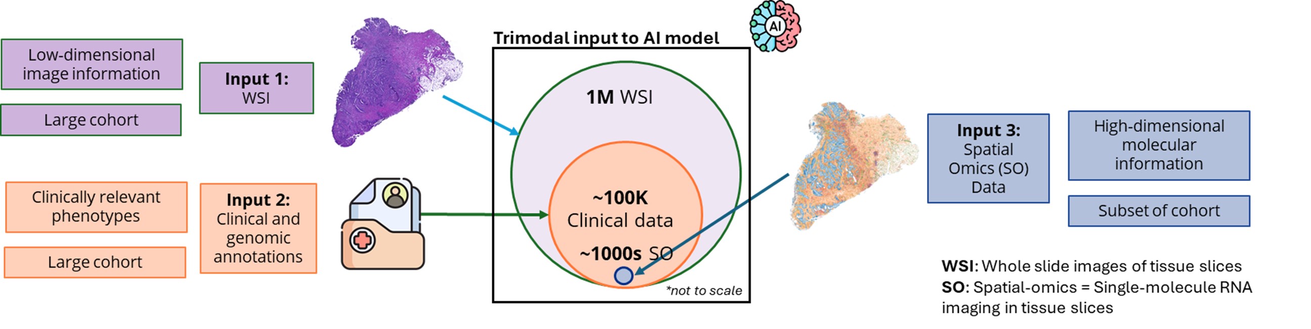 BII_Research-CIID-CVPD_figure-5