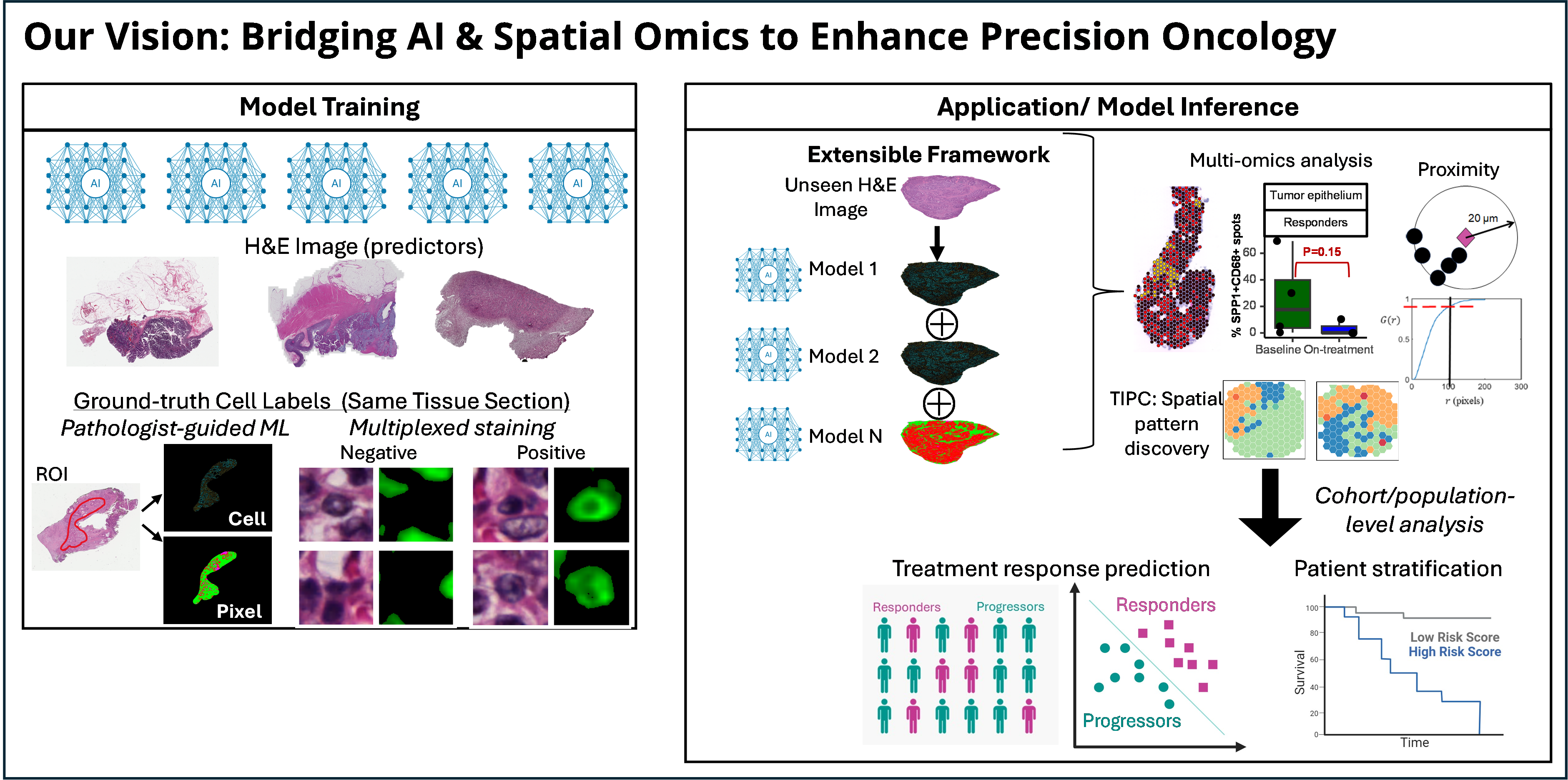Overview of the H&E-based AI molecular prediction framework, termed AI4HE