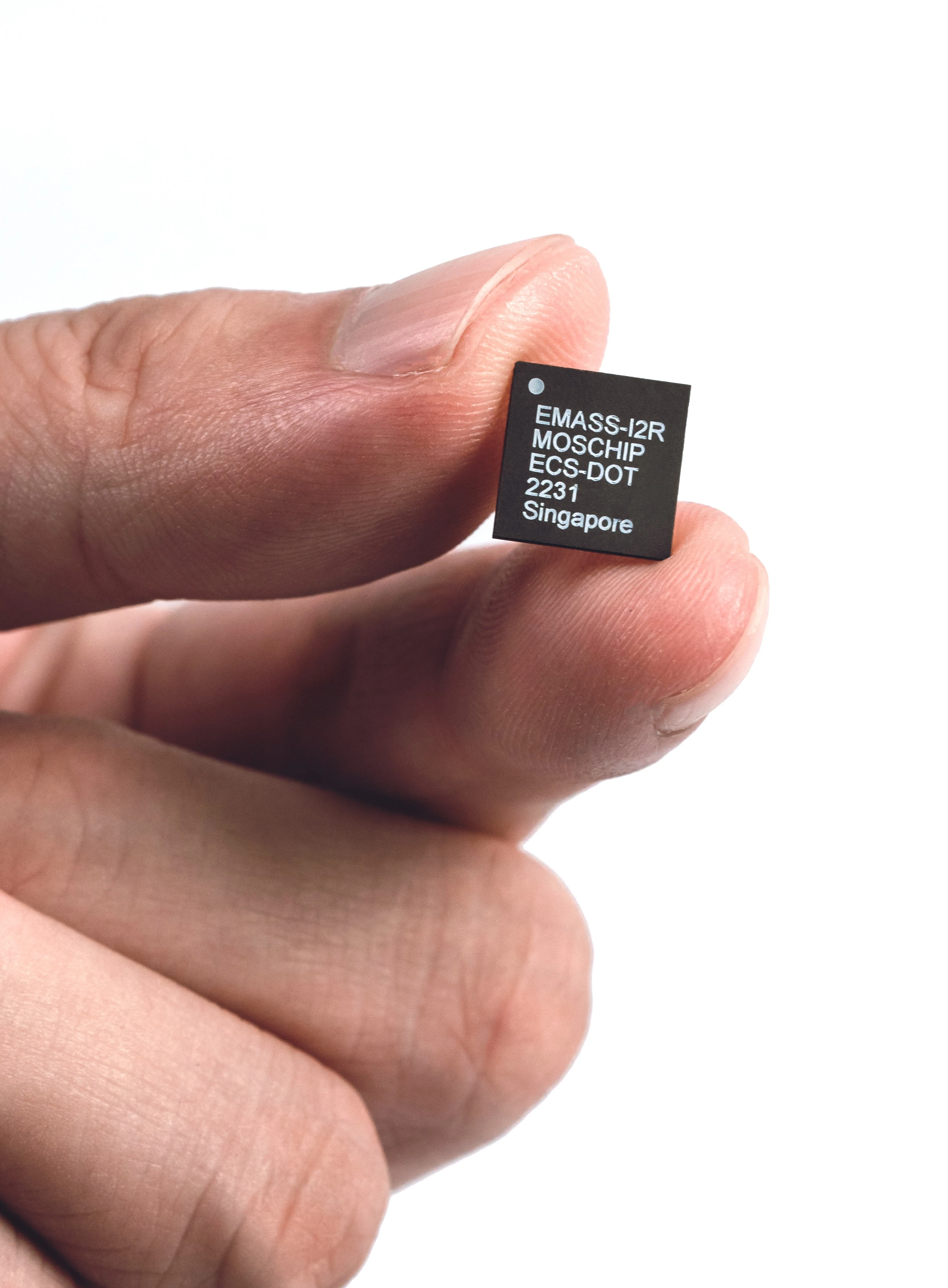 EMASS: Pioneering AI Embedded Solutions for IoT