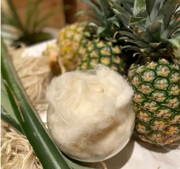 pineapple-casestudy-1 medtech-cs-1
