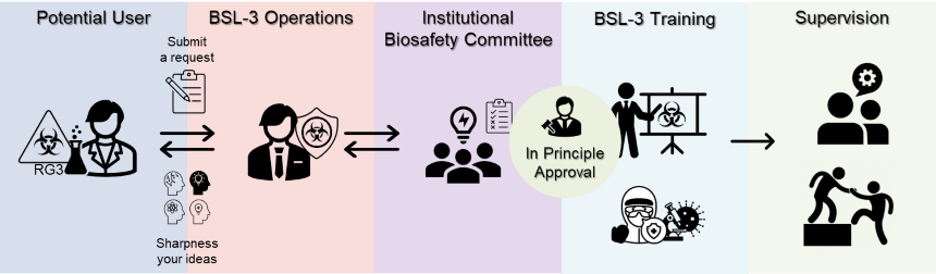 BSL3 workflow_1