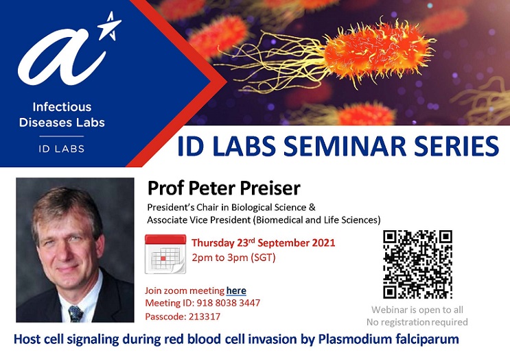 IDL seminar Series flyer - Peter Preiser_website