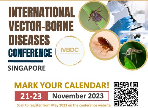 IVBDC website flyer