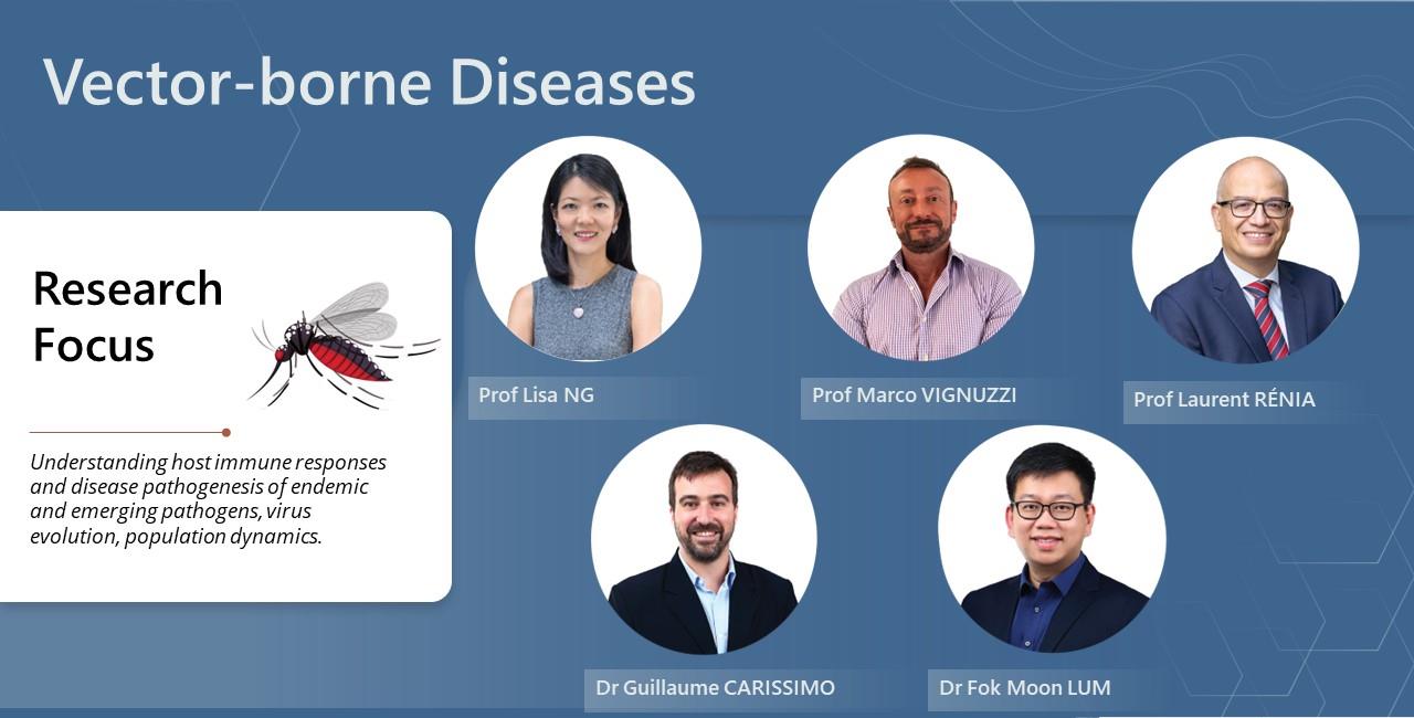 Vector Borne Diseases Research Programme