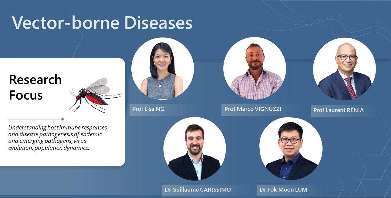 Vector Borne Diseases Research Programme Vector Borne Diseases Research Programme