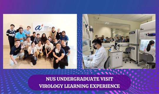 NUS Undergraduate visit