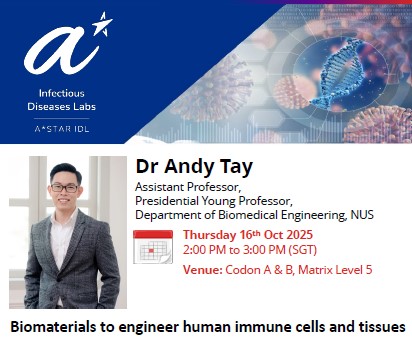 Biomaterials to engineer human immune cells and tissues