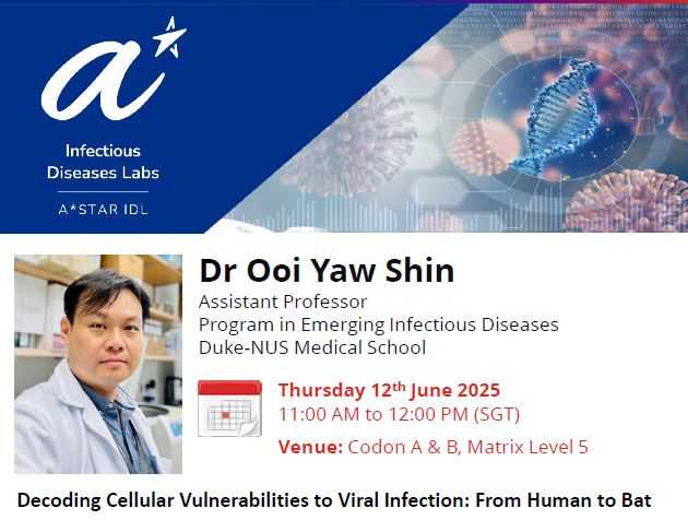 Decoding Cellular Vulnerabilities to Viral Infection From Human to Bat Decoding Cellular Vulnerabilities to Viral Infection From Human to Bat