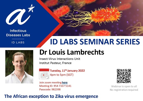 IDL seminar Series flyer - Louis Lambrechts_website