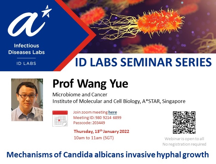 IDL seminar Series flyer_website - Wang Yue