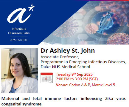 Maternal and fetal immune factors influencing Zika virus congenital syndrome