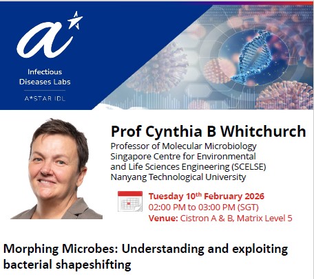 Morphing Microbes Understanding and exploiting bacterial shapeshifting