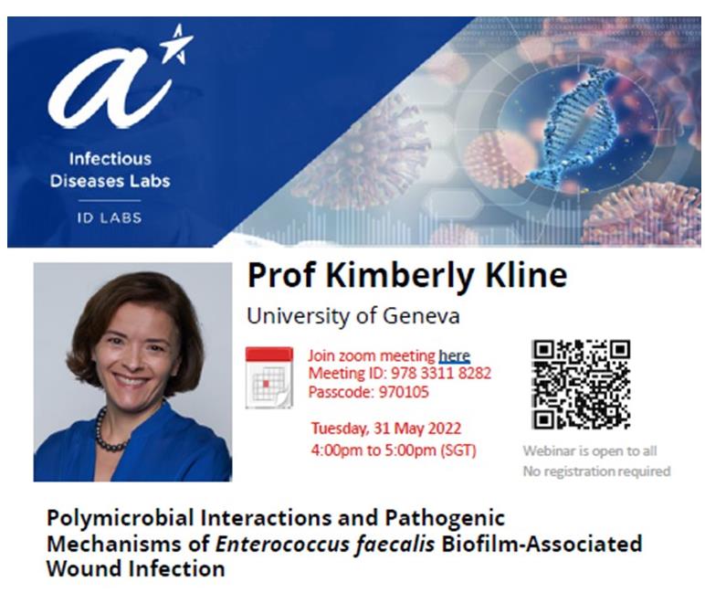 Prof Kimberly Kline