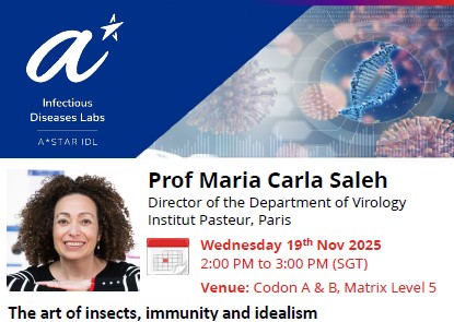 The art of insects, immunity and idealism